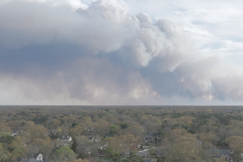 Kebakaran Hanguskan 3.200 Hektare Hutan AS, 3 Ribu Warga Dievakuasi